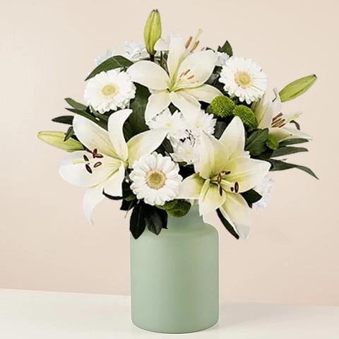 Lys Gerberas Genuine Emotion