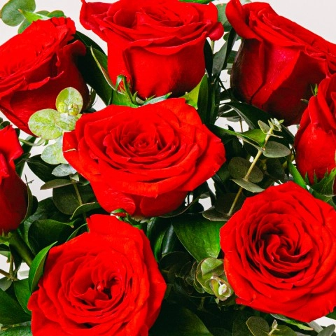 Rendez Vous Romantique Roses Rouges