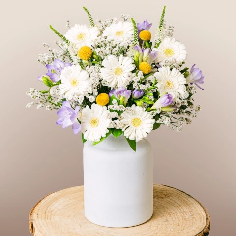 Gerberas Blancs Craspedia Jaune Freesias