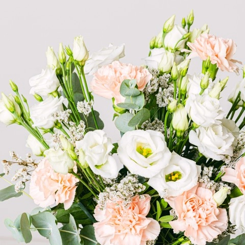 Lisianthus Oeillets