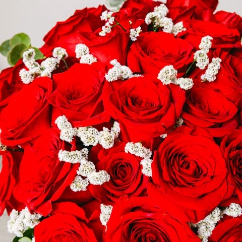 Amour Poetique