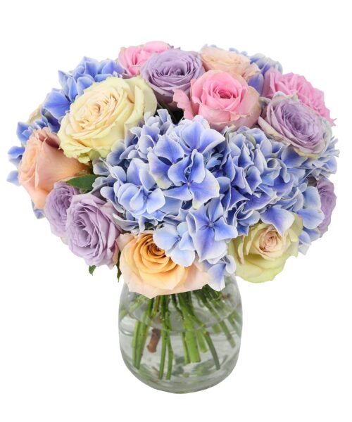 Flowers & Plants Co.