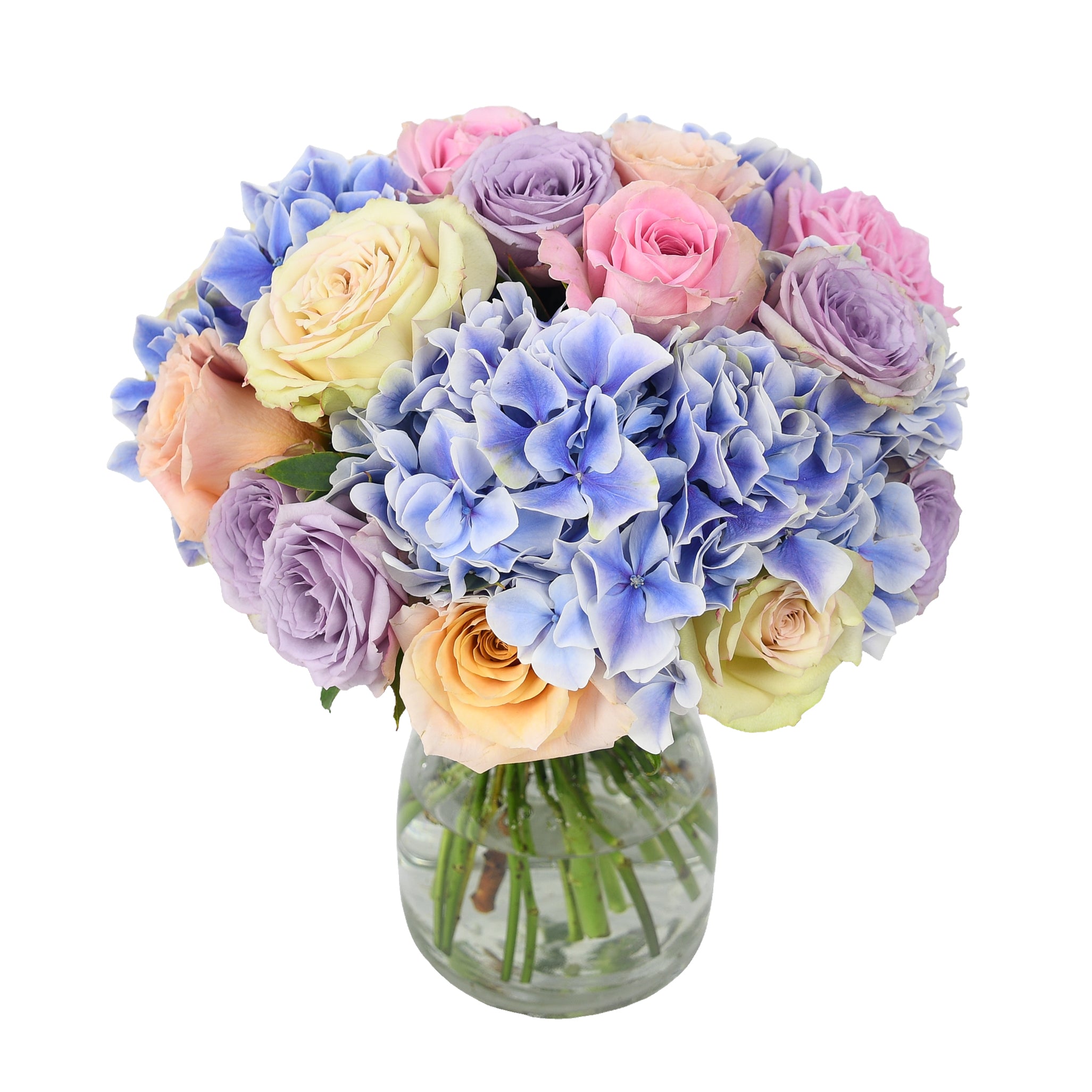 Flowers & Plants Co.